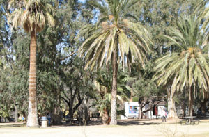 Agua Caliente park